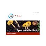 IUCN SSC: Species E-Bulletin, November 2024