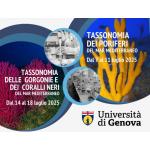 Summer Schools: 1. Tassonomia dei Poriferi  del Mar Mediterraneo - 2. Tassonomia delle Gorgonie  e dei Coralli Neri