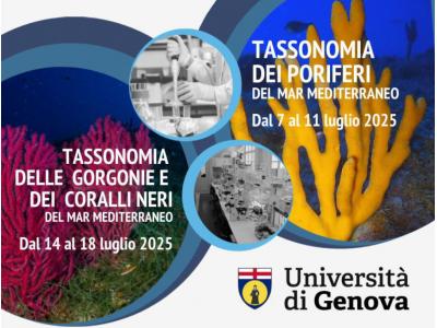 Summer Schools: 1. Tassonomia dei Poriferi  del Mar Mediterraneo - 2. Tassonomia delle Gorgonie  e dei Coralli Neri