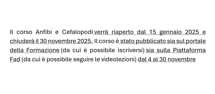 Riapertura dal 15 gennaio 2025 del Corso Anfibi e Cefalopodi