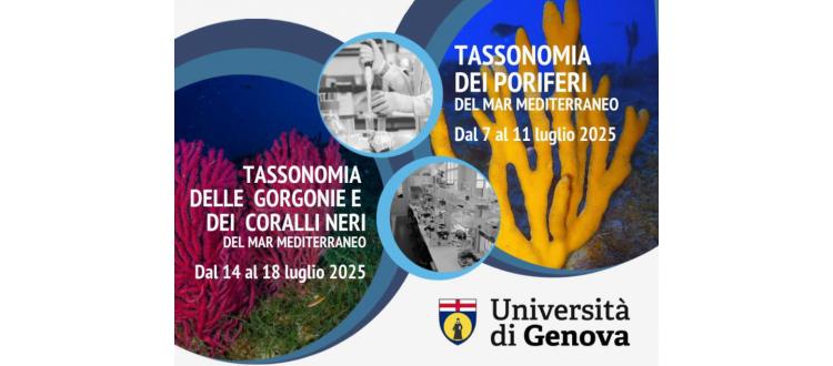 Summer Schools: 1. Tassonomia dei Poriferi  del Mar Mediterraneo - 2. Tassonomia delle Gorgonie  e dei Coralli Neri