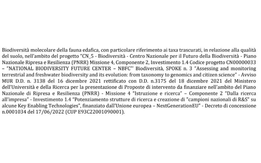  Biodiversità molecolare della fauna edafica, con particolare riferimento ai taxa trascurati