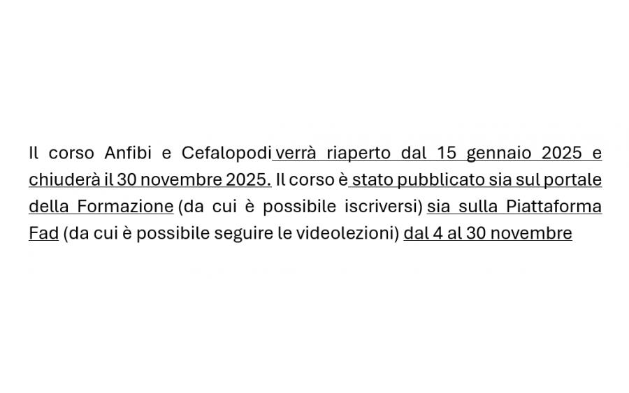 Riapertura dal 15 gennaio 2025 del Corso Anfibi e Cefalopodi