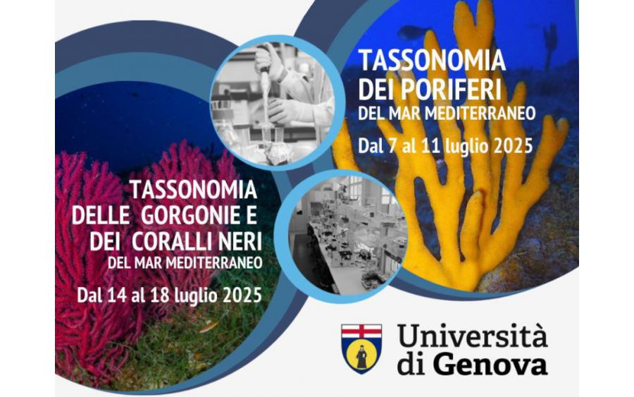 Summer Schools: 1. Tassonomia dei Poriferi  del Mar Mediterraneo - 2. Tassonomia delle Gorgonie  e dei Coralli Neri