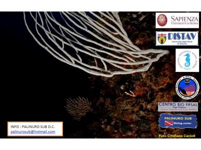 3° Stage di Biologia Marina e Subacquea Scientifica: Gradienti ambientali in habitat marini costieri