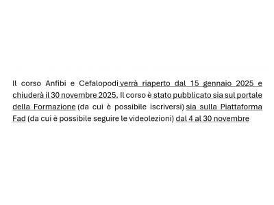 Riapertura dal 15 gennaio 2025 del Corso Anfibi e Cefalopodi