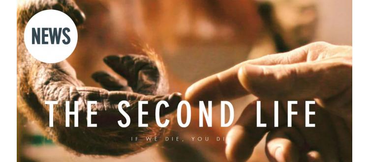 Film: The second life