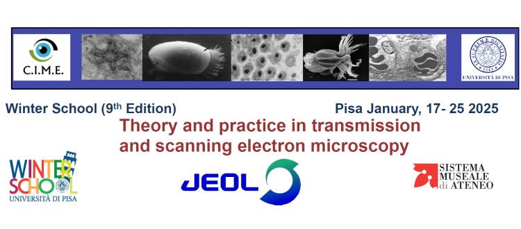 Theory and practice in transmission and scanning electron microscopy